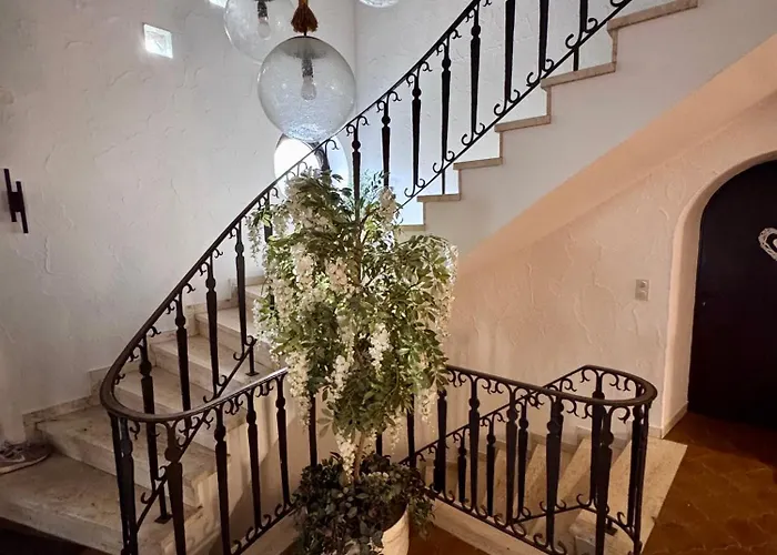 Schaefer Enzklosterle